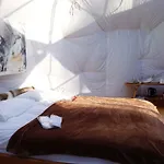 ラグジュアリーテント Wild Caribou Dome