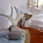 Wild Caribou Dome ラグジュアリーテント 3*