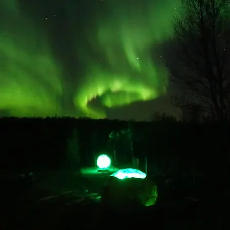 Wild Caribou Dome Lyxtält Lakselv