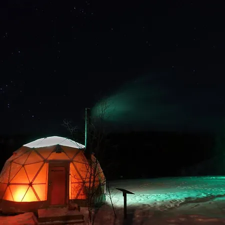 Wild Caribou Dome Luksustelt 3*
