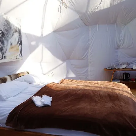 Tente de luxe Wild Caribou Dome