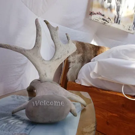 Wild Caribou Dome Tente de luxe 3*