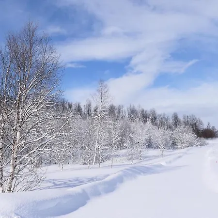 Tente de luxe Wild Caribou Dome 3*