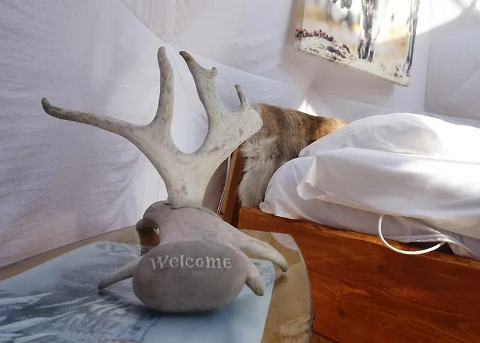 Wild Caribou Dome Lüks kamp alanı 3*
