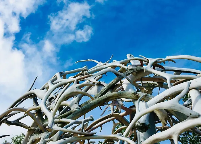 Lüks kamp alanı Wild Caribou Dome 3*