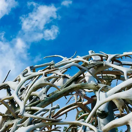 ラグジュアリーテント Wild Caribou Dome 3*