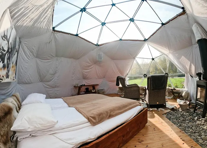 Wild Caribou Dome