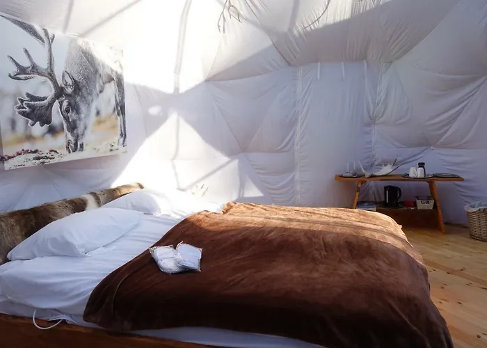 Luxe tent Wild Caribou Dome